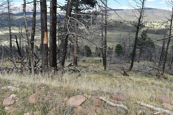 4 Acres of Land for Sale in Fort Garland, Colorado