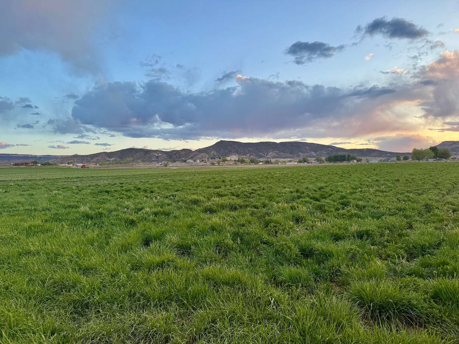 9.1 Acres of Agricultural Land for Sale in Loma, Colorado