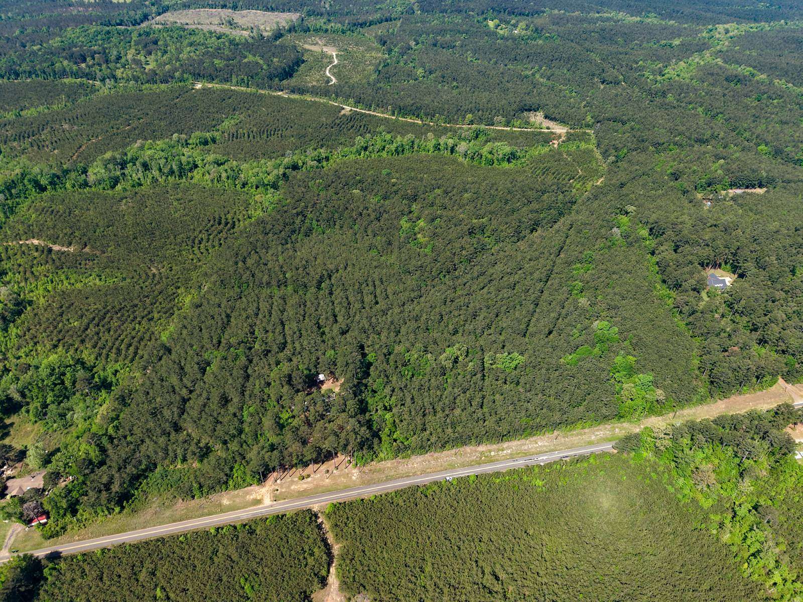 43 Acres of Land for Sale in Dodson, Louisiana