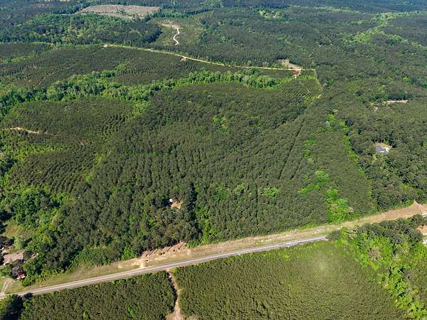 43 Acres of Land for Sale in Dodson, Louisiana