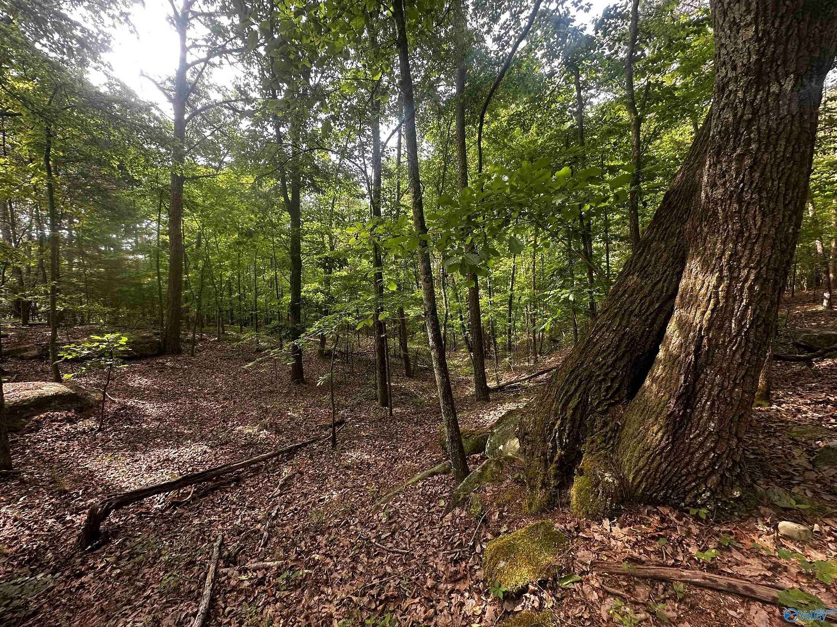 4.4 Acres of Land for Sale in Grant, Alabama