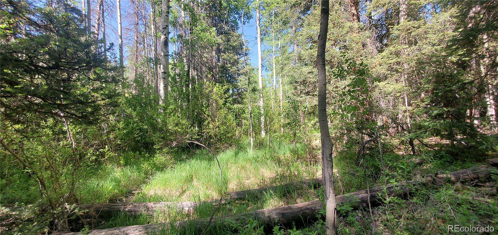 5.3 Acres of Residential Land for Sale in San Luis, Colorado
