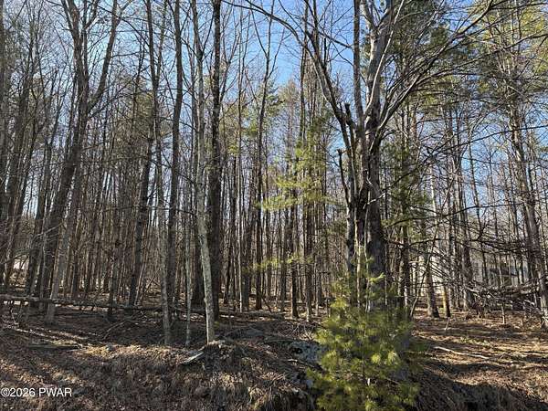 1 Acre of Residential Land for Sale in Milford, Pennsylvania