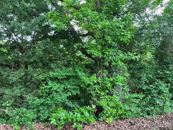 28.6 Acres of Recreational Land for Sale in Mineola, Texas
