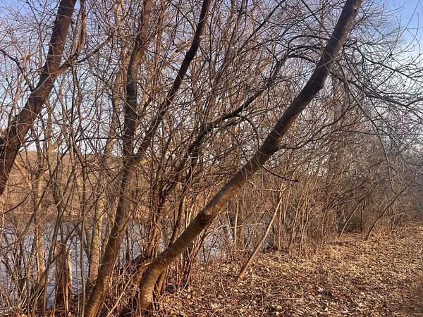 0.32 Acres of Land for Sale in Taylors Falls, Minnesota