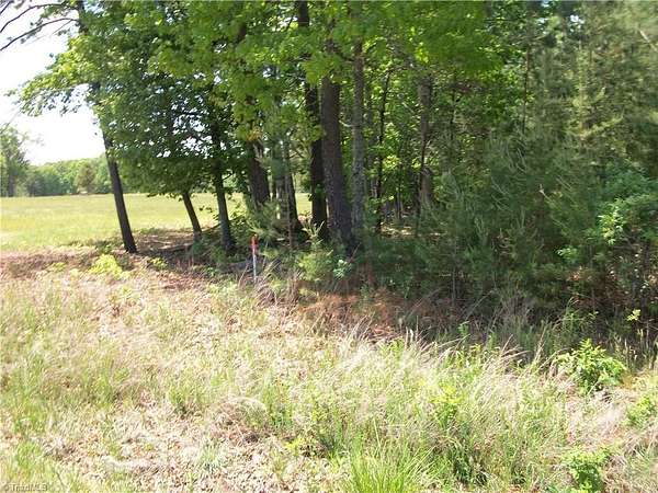 33.3 Acres of Recreational & Residential Land for Sale in Eden, North Carolina