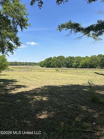 10.6 Acres of Land for Sale in Brandon, Mississippi