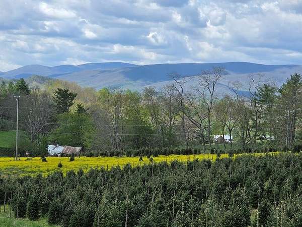 30.5 Acres of Recreational & Residential Land for Sale in Troutdale, Virginia