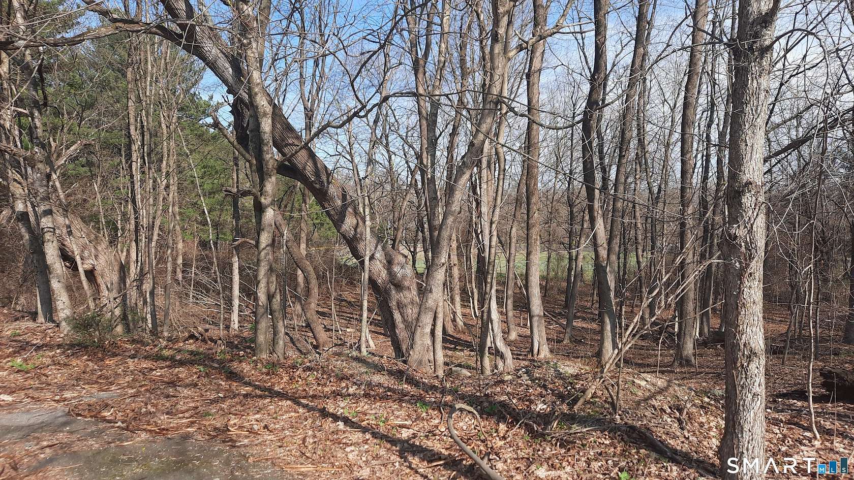 9.1 Acres of Residential Land for Sale in Brooklyn, Connecticut