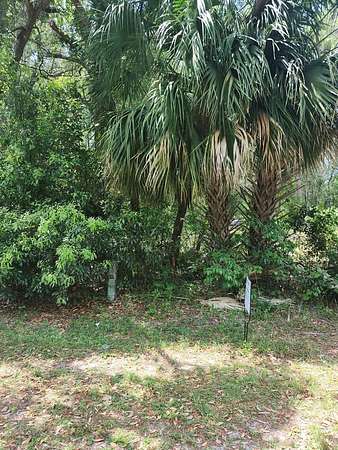0.7 Acres of Residential Land for Sale in Fanning Springs, Florida