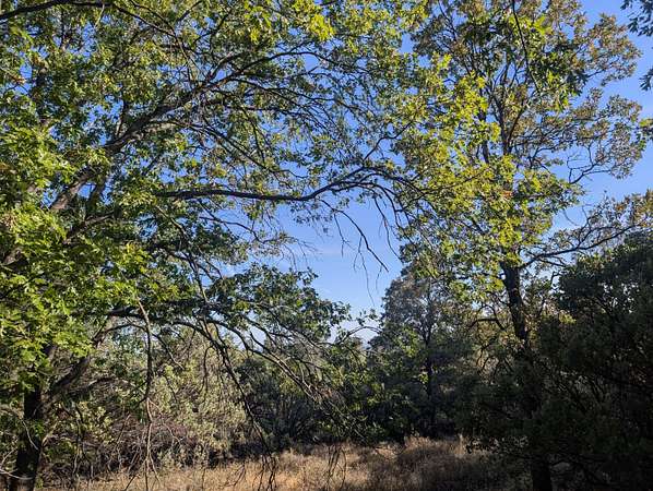 9.9 Acres of Land for Sale in Bella Vista, California