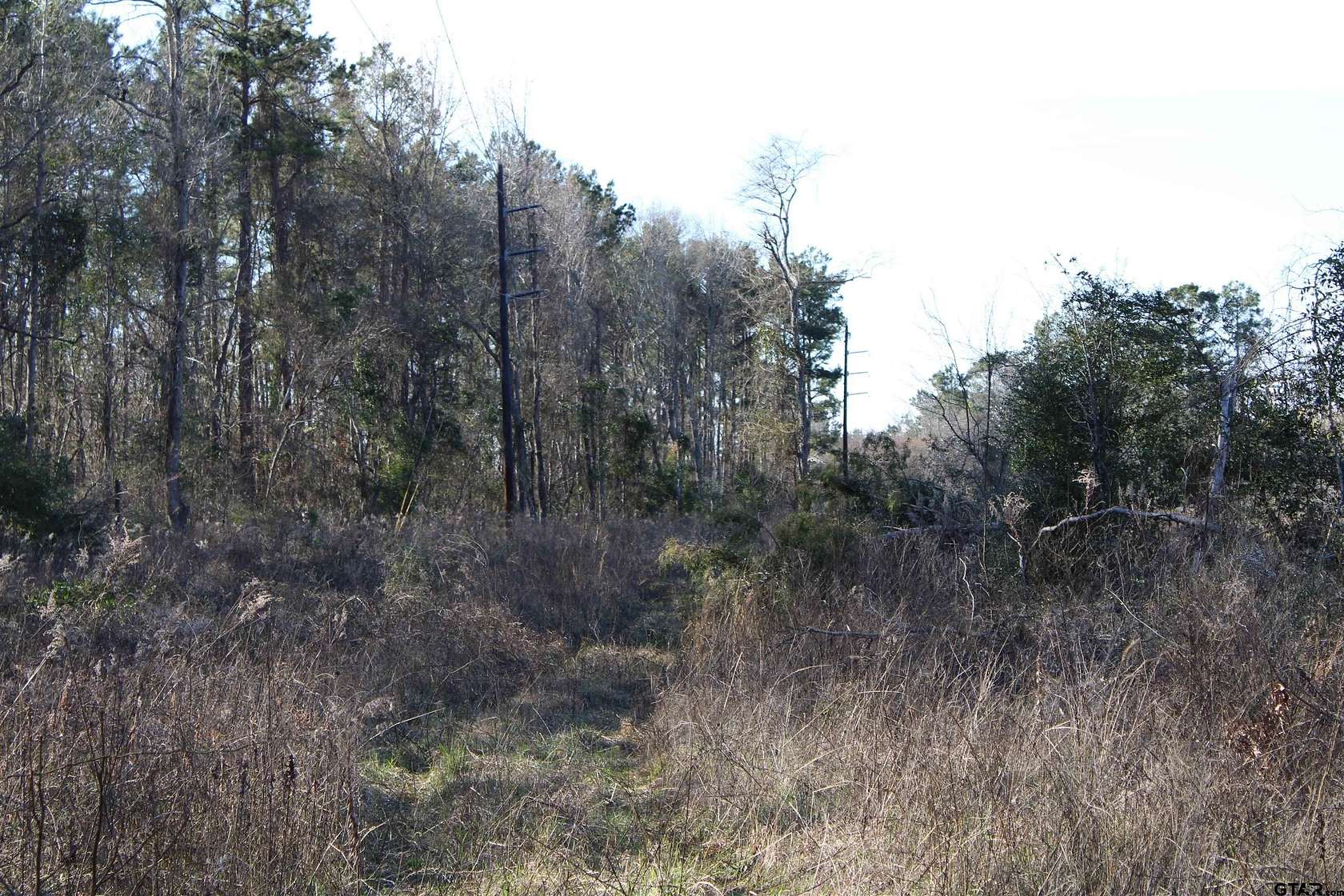 10 Acres of Land for Sale in Rusk, Texas