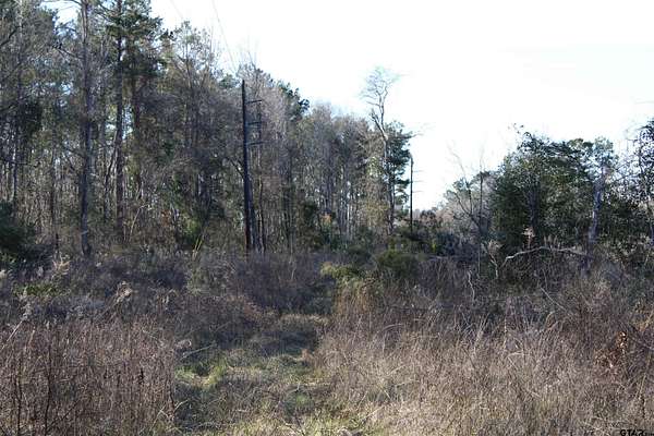 10 Acres of Land for Sale in Rusk, Texas