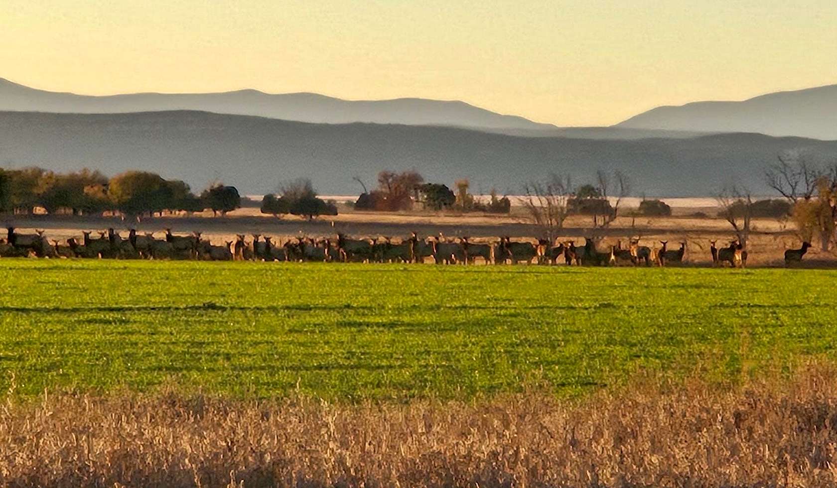 453 Acres of Land for Sale in Maxwell, New Mexico