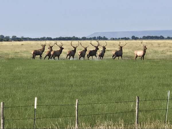 453 Acres of Land for Sale in Maxwell, New Mexico