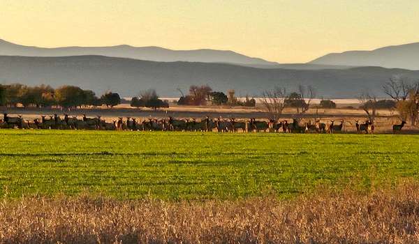 453 Acres of Land for Sale in Maxwell, New Mexico