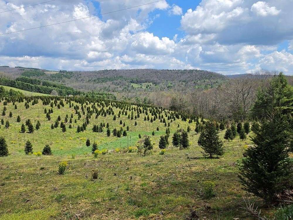 57 Acres of Recreational & Residential Land for Sale in Troutdale, Virginia