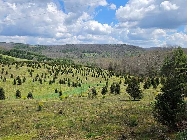 57 Acres of Recreational & Residential Land for Sale in Troutdale, Virginia