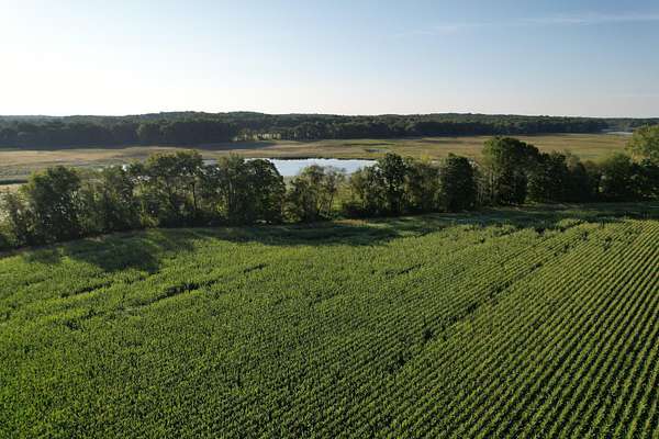 40 Acres of Land for Sale in Hanover, Michigan