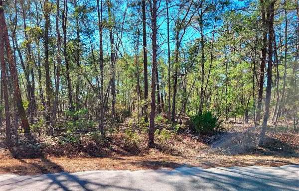 0.24 Acres of Residential Land for Sale in Ocklawaha, Florida