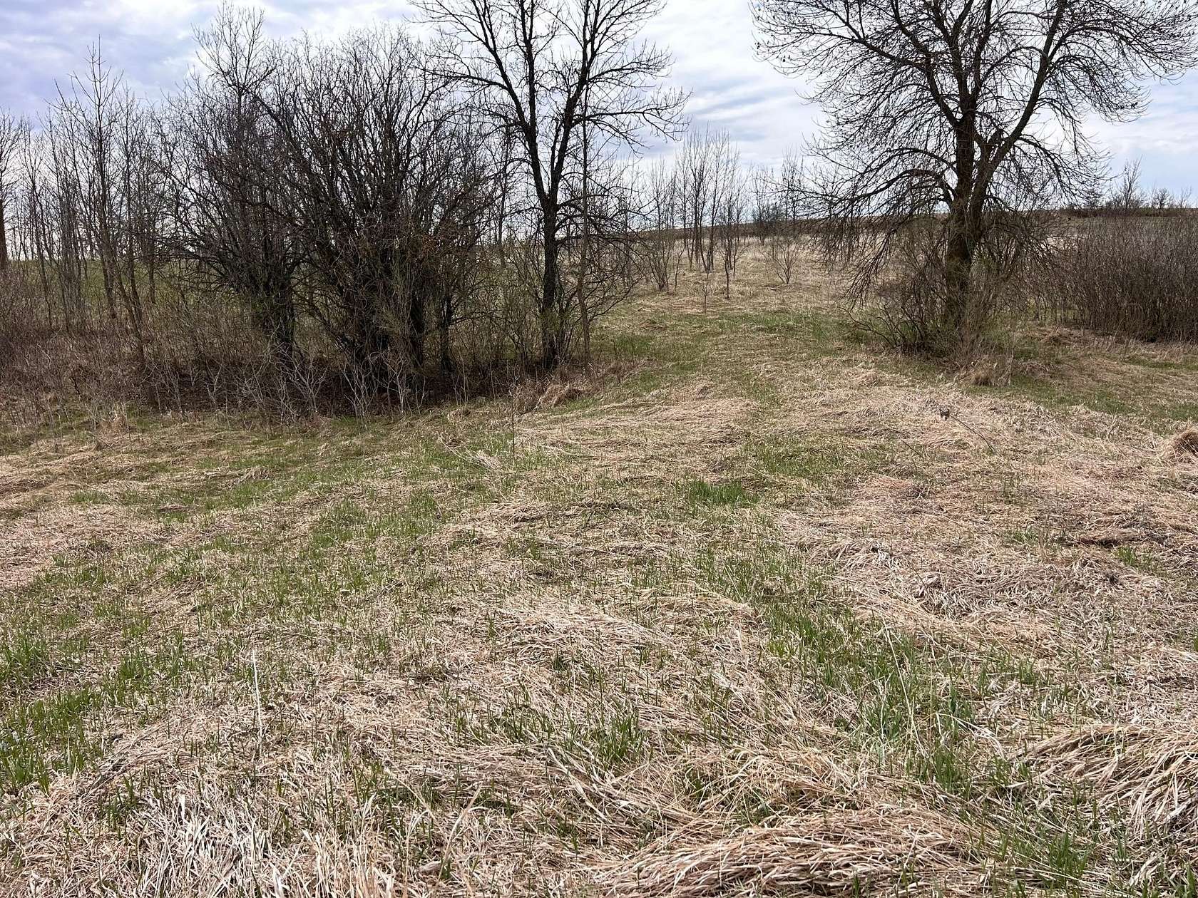 2.84 Acres of Residential Land for Sale in Barrett, Minnesota