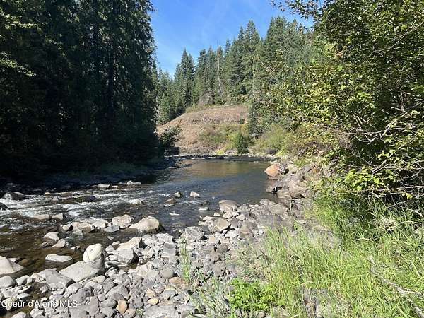 40 Acres of Land for Sale in Weippe, Idaho