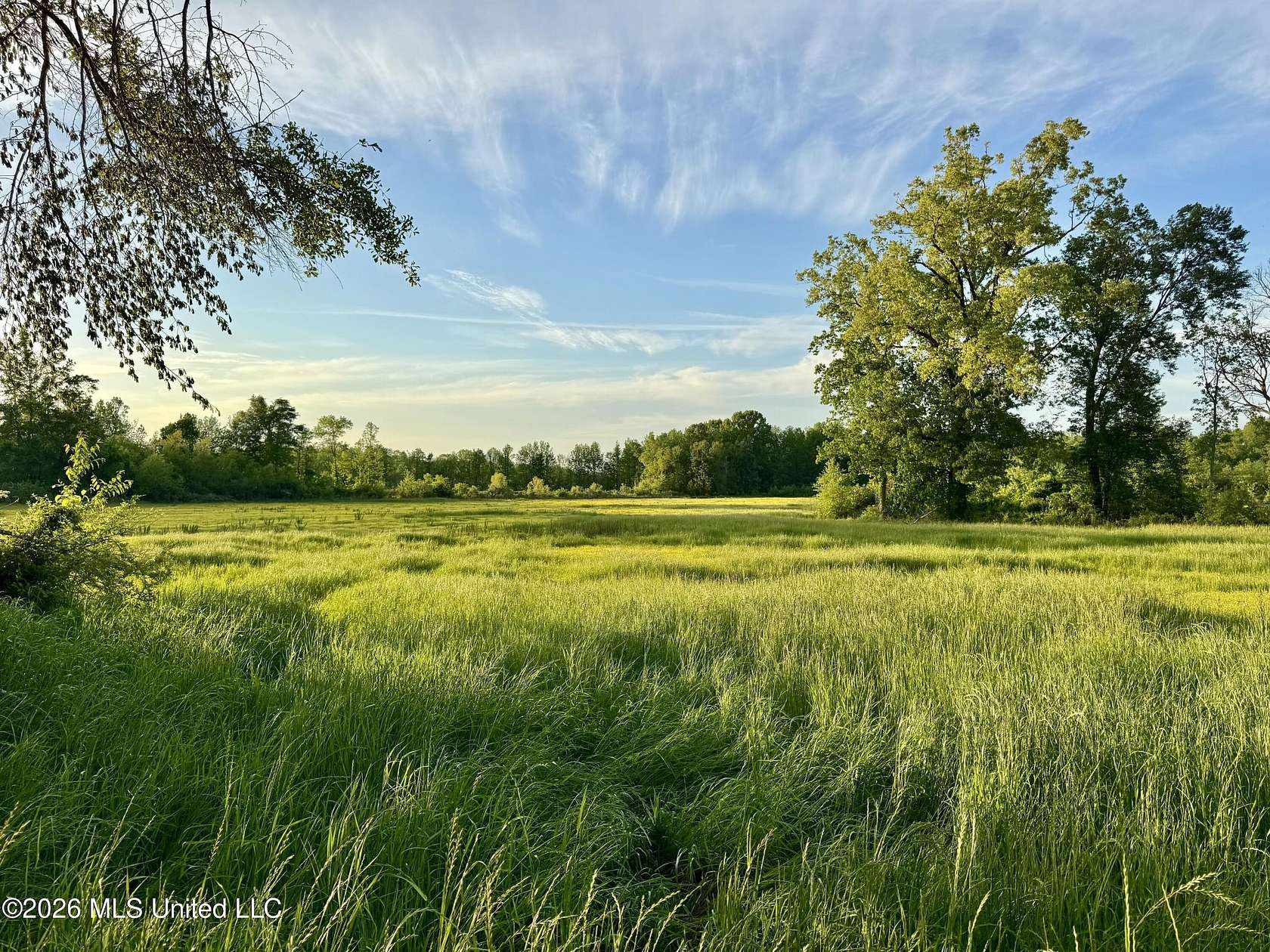 292 Acres of Land for Sale in Tiplersville, Mississippi