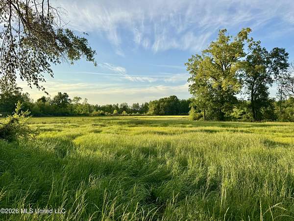 292 Acres of Land for Sale in Tiplersville, Mississippi