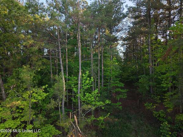 42.5 Acres of Recreational Land for Sale in Stewart, Mississippi