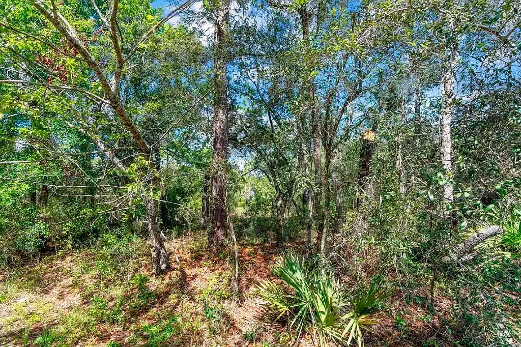 0.35 Acres of Residential Land for Sale in Ocklawaha, Florida