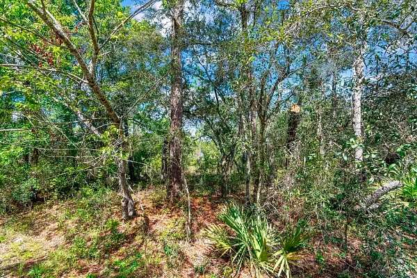 0.35 Acres of Residential Land for Sale in Ocklawaha, Florida
