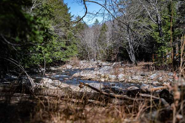 27.2 Acres of Recreational & Residential Land for Sale in Wentworth, New Hampshire