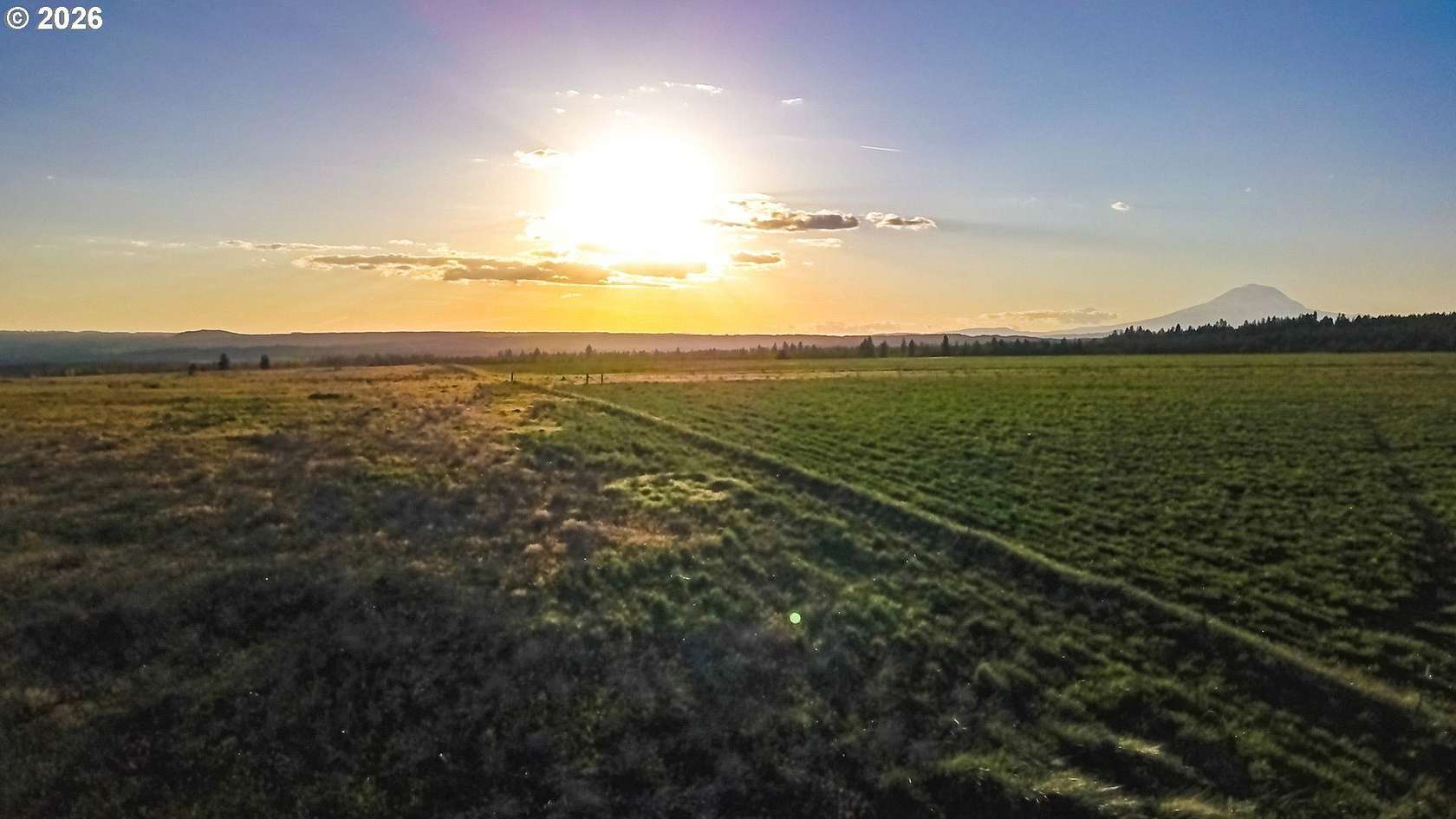 20.7 Acres of Land for Sale in Goldendale, Washington