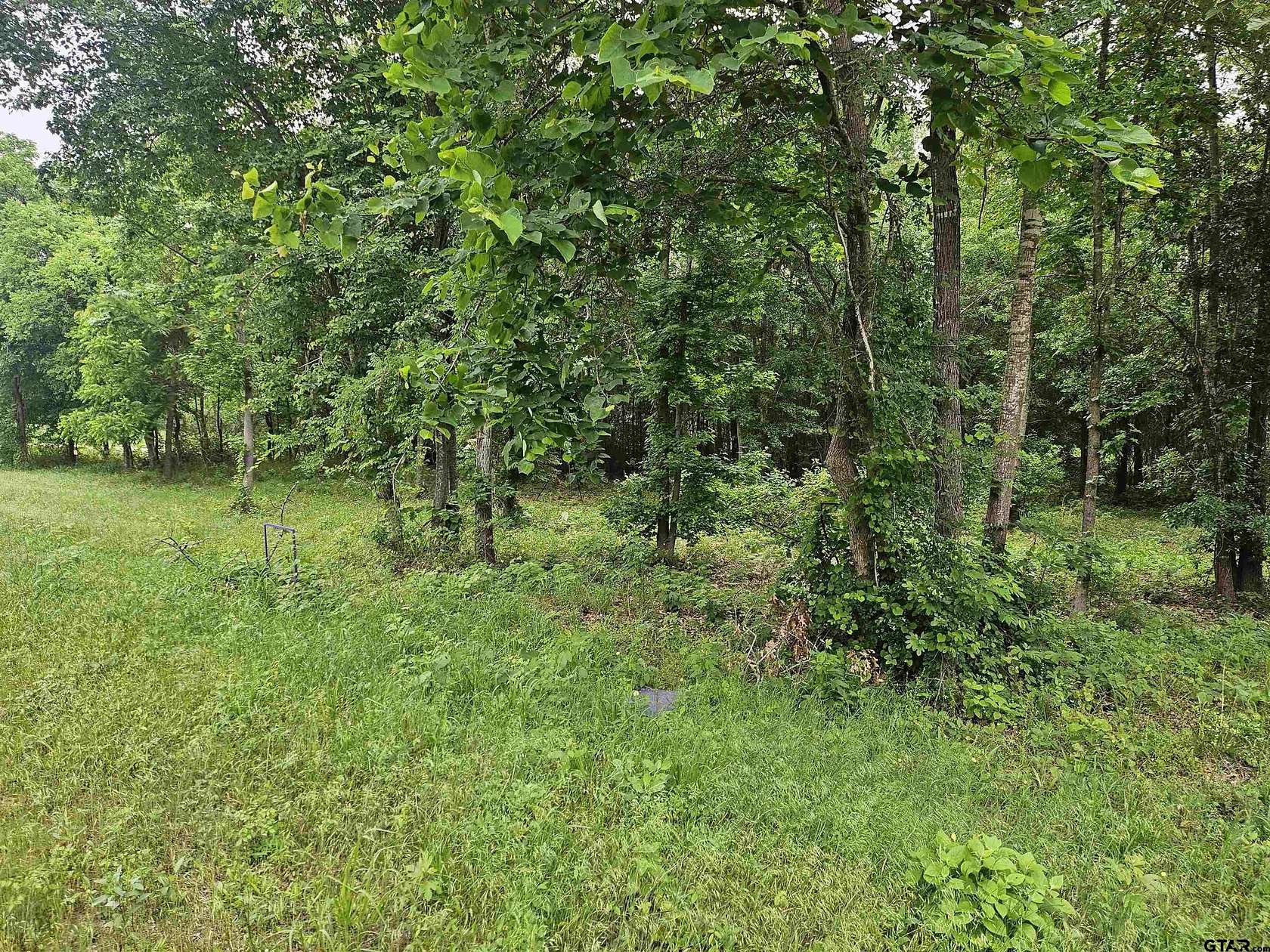 10.2 Acres of Recreational & Residential Land for Sale in Overton, Texas
