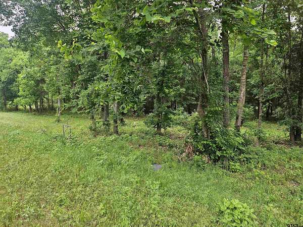 10.2 Acres of Recreational & Residential Land for Sale in Overton, Texas