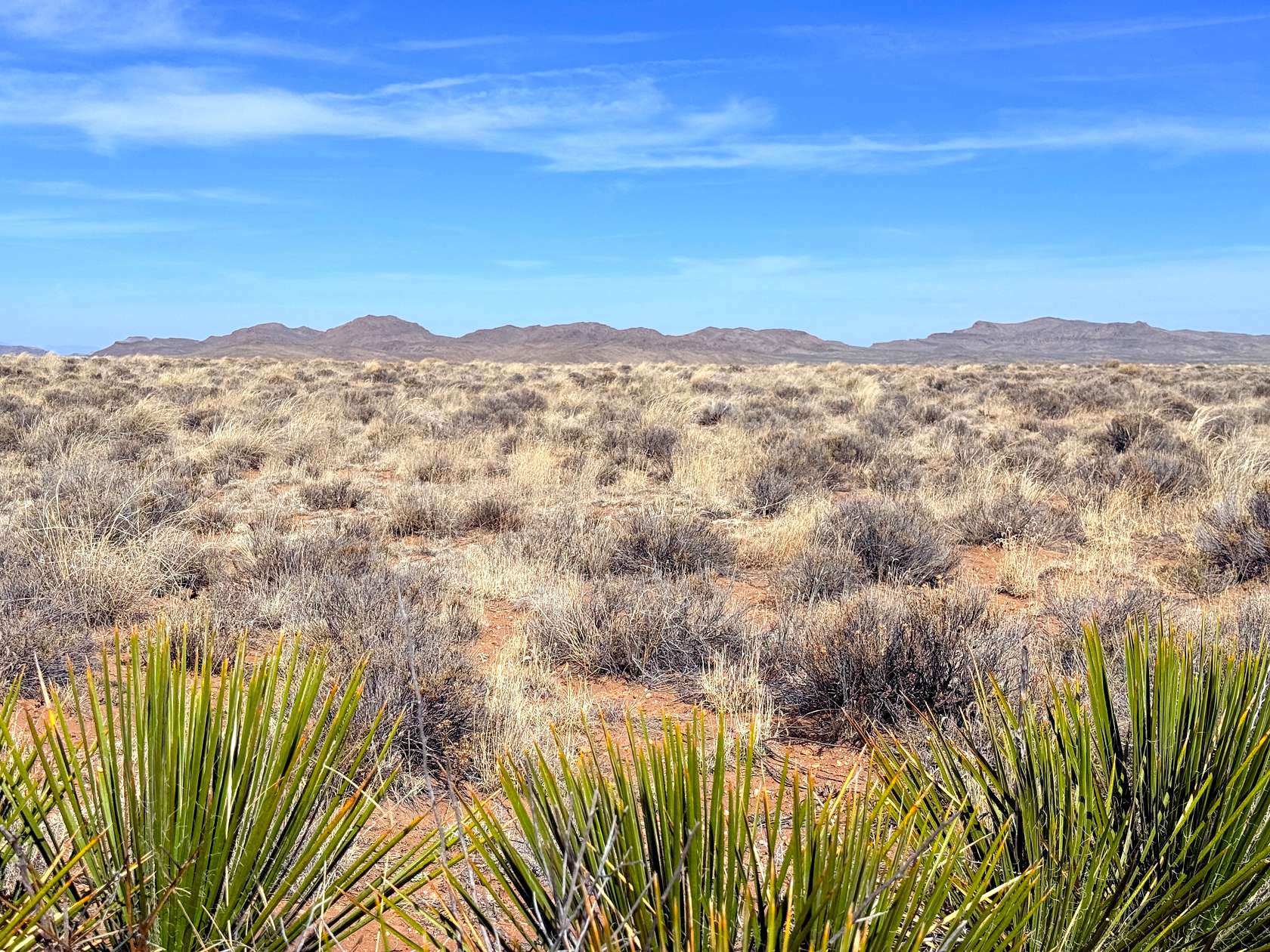 15.8 Acres of Recreational & Residential Land for Sale in San Luis, Colorado