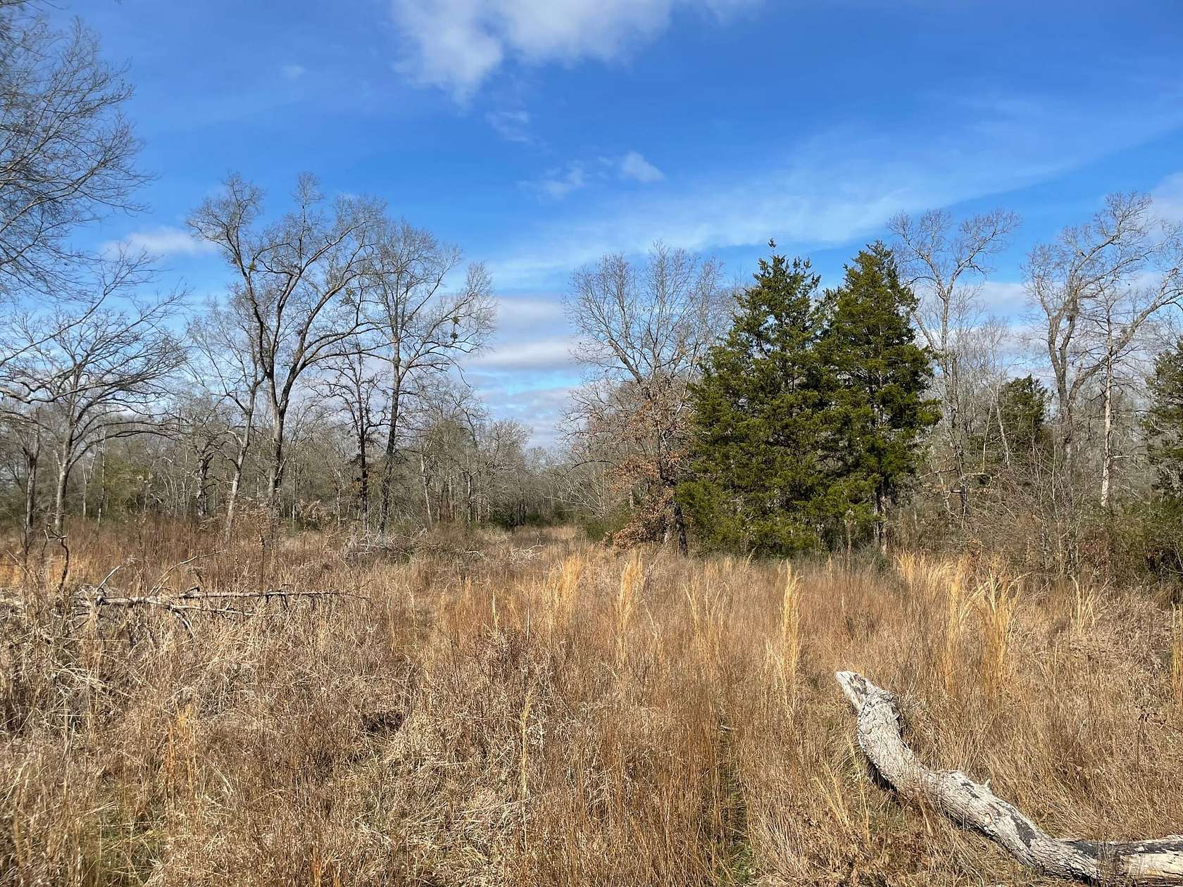 19.6 Acres of Recreational Land for Sale in Elkhart, Texas