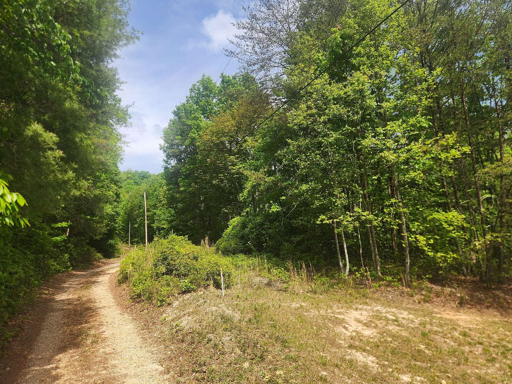 16 Acres of Recreational Land for Sale in Boomer, North Carolina