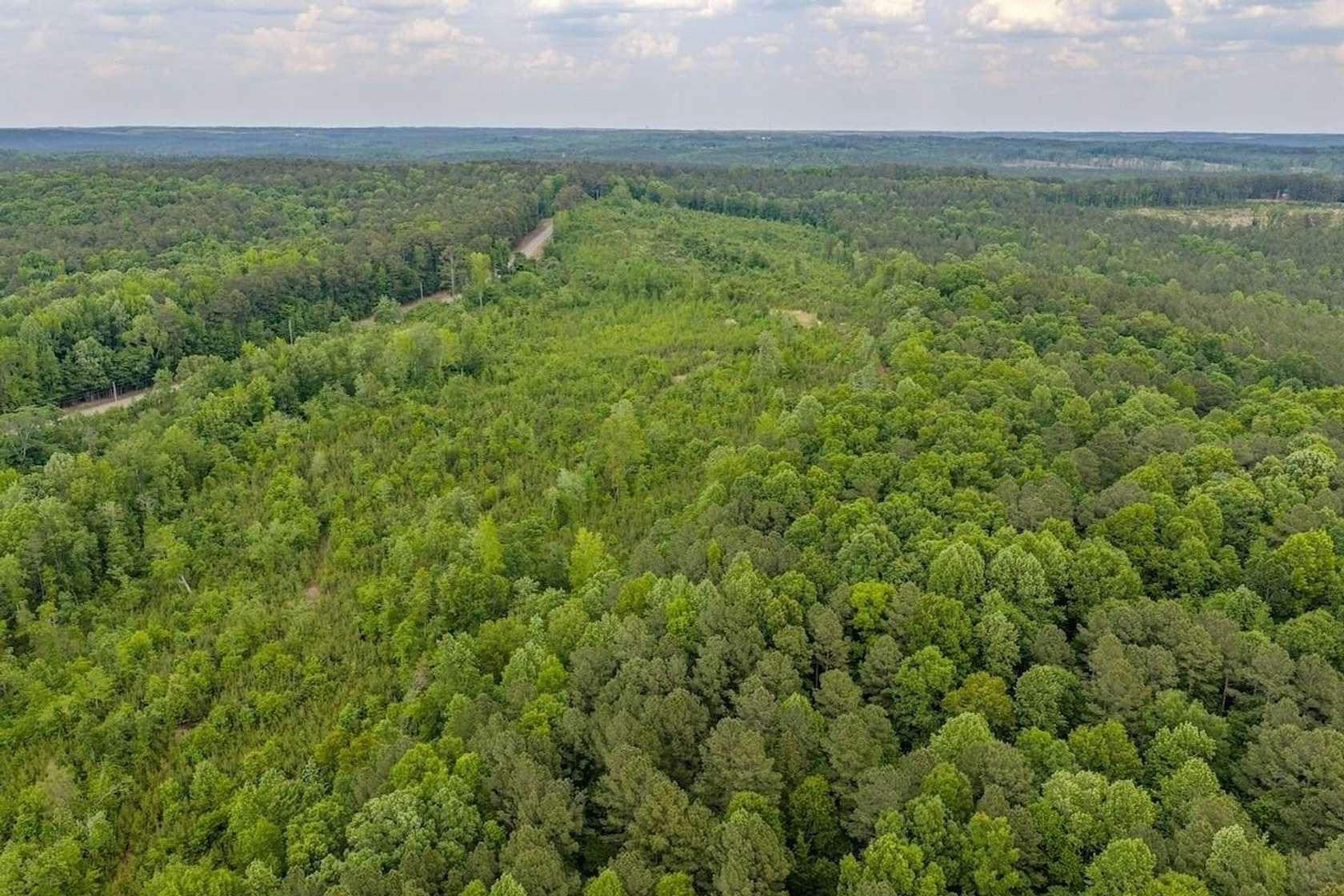 173 Acres of Recreational Land for Sale in Candor, North Carolina