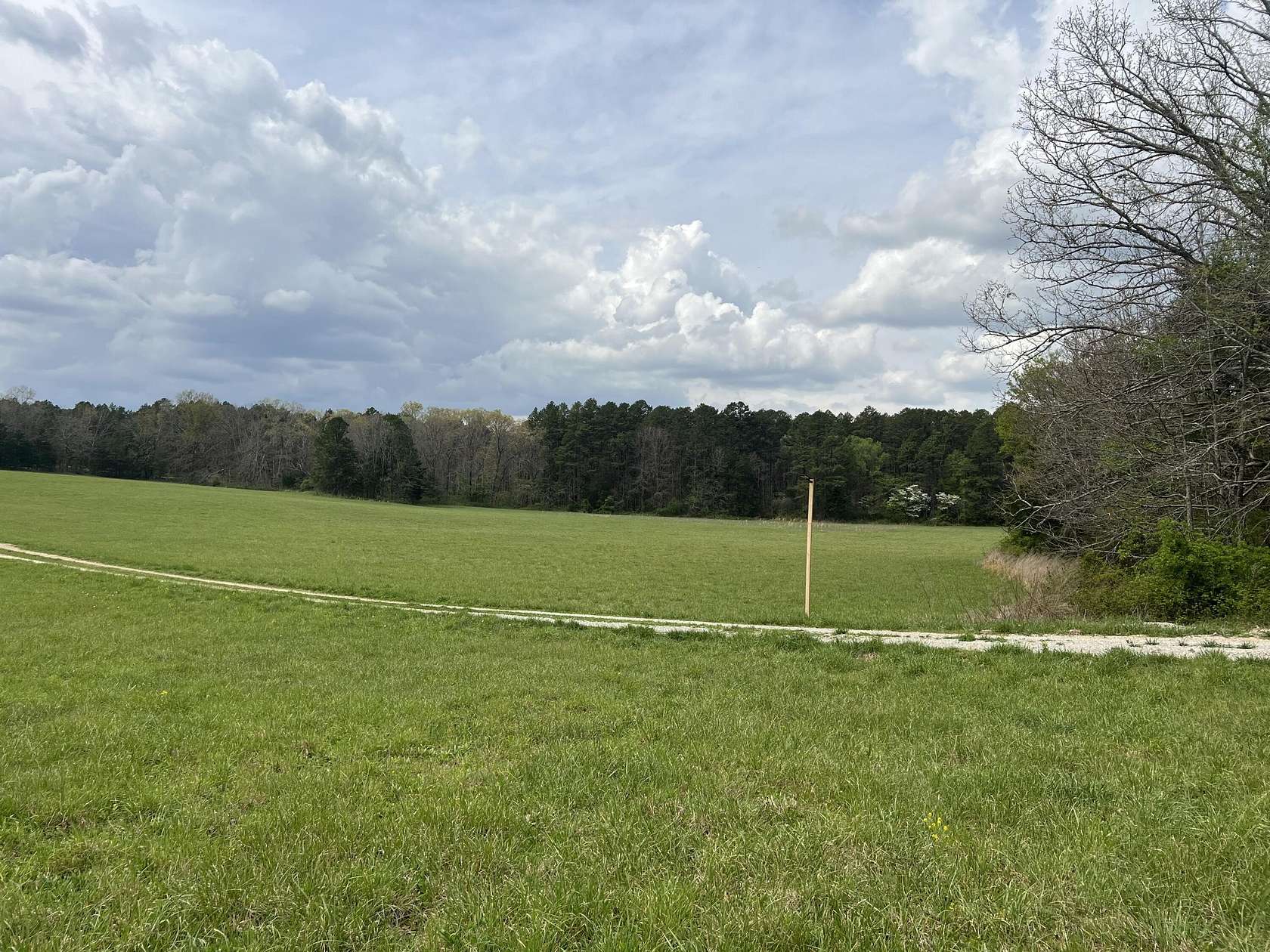 40 Acres of Land with Home for Sale in Birch Tree, Missouri