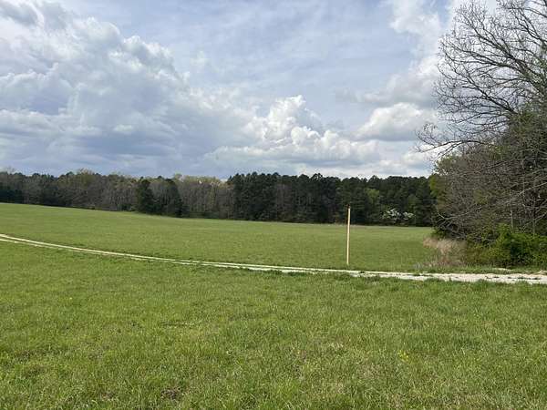 40 Acres of Land with Home for Sale in Birch Tree, Missouri