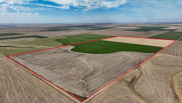 311 Acres of Agricultural Land for Sale in Dighton, Kansas