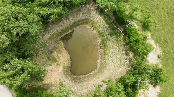 24 Acres of Land for Sale in Gorman, Texas