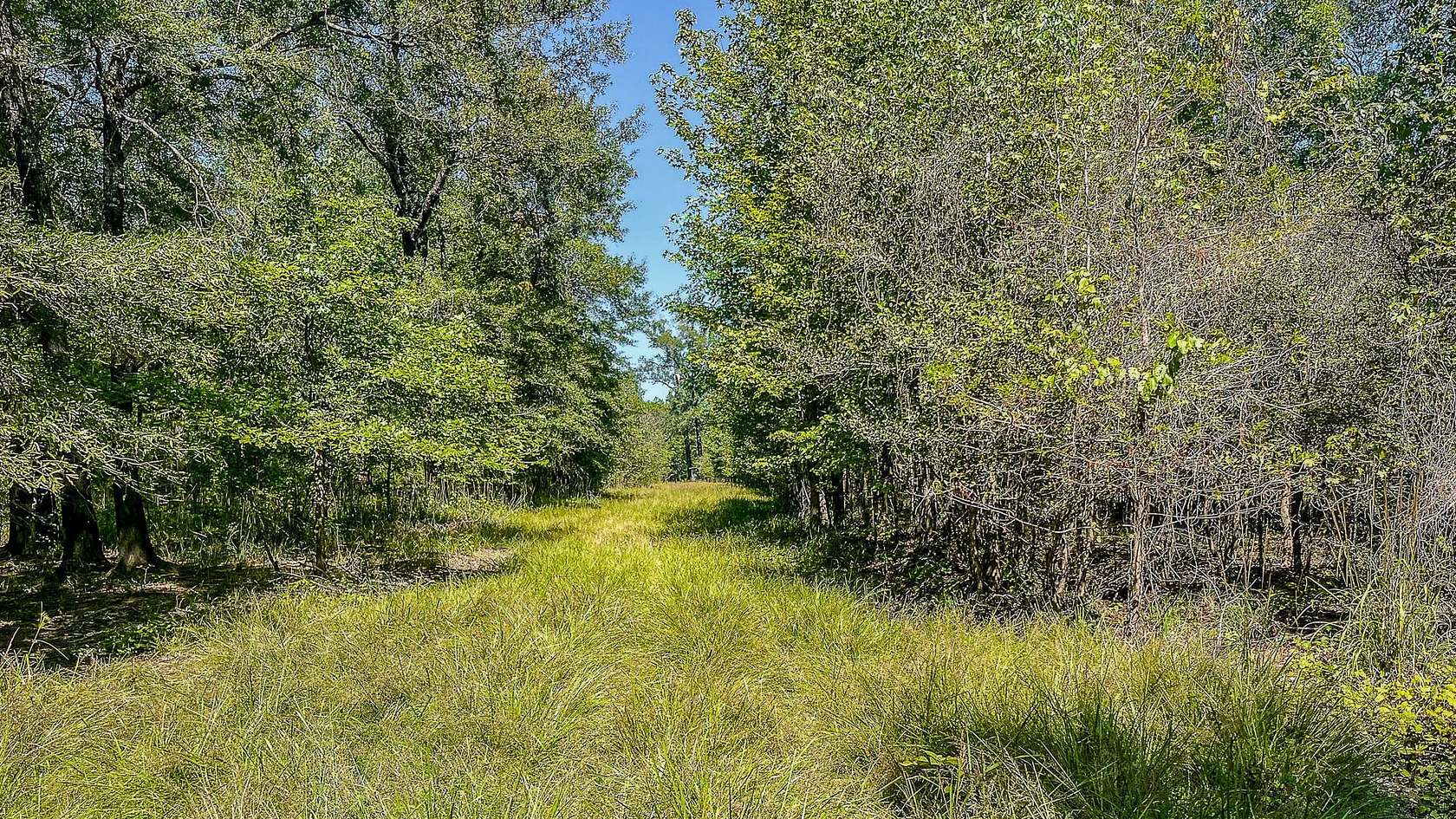 110 Acres of Recreational Land for Sale in Marion, Louisiana