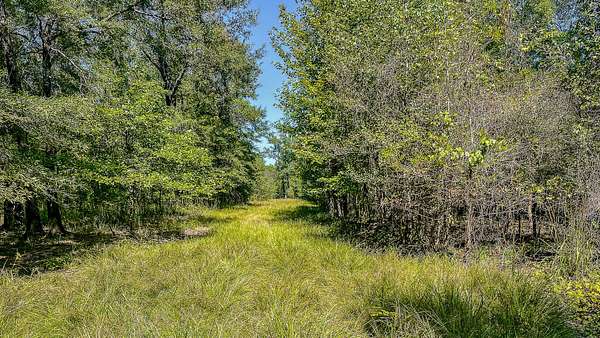 110 Acres of Recreational Land for Sale in Marion, Louisiana