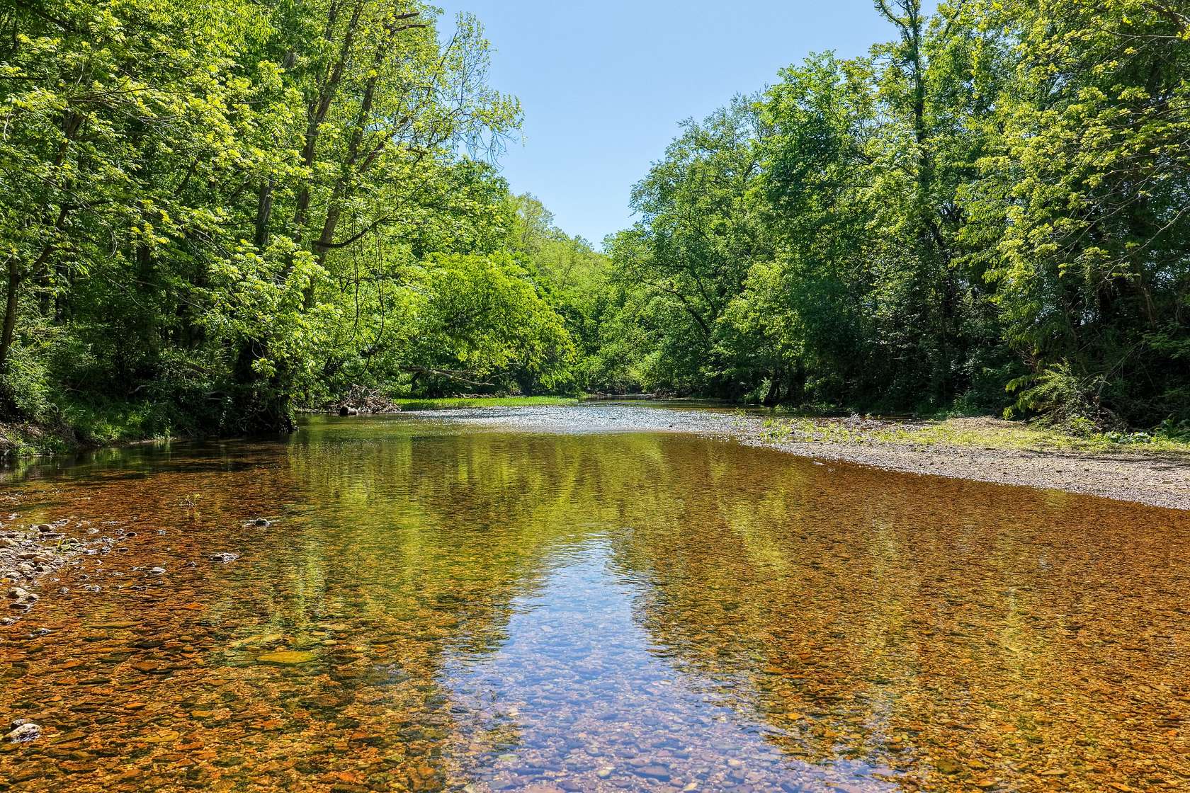 23 Acres of Land for Sale in Waynesboro, Tennessee