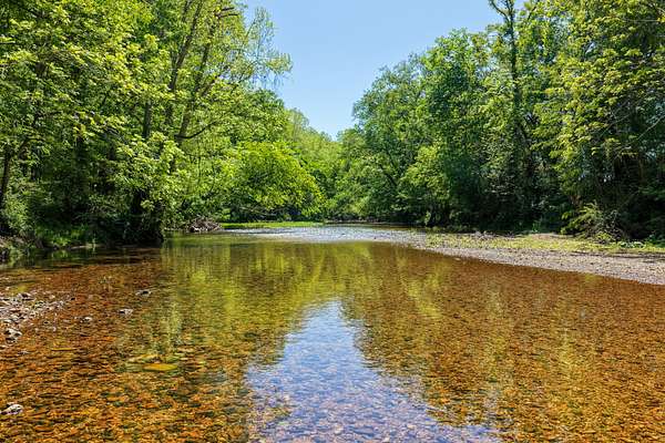 23 Acres of Land for Sale in Waynesboro, Tennessee