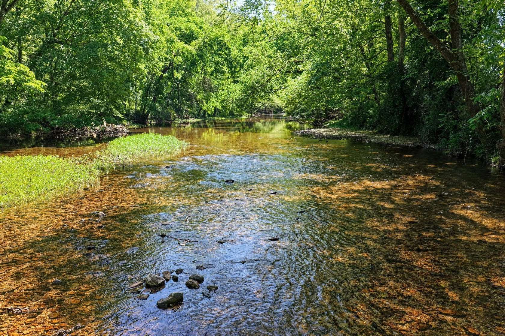 24 Acres of Land for Sale in Waynesboro, Tennessee