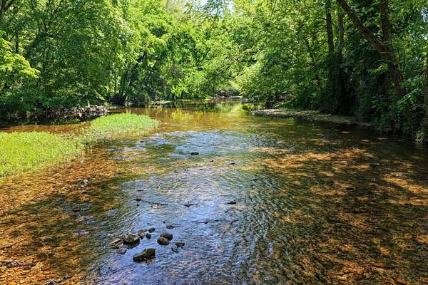 24 Acres of Land for Sale in Waynesboro, Tennessee