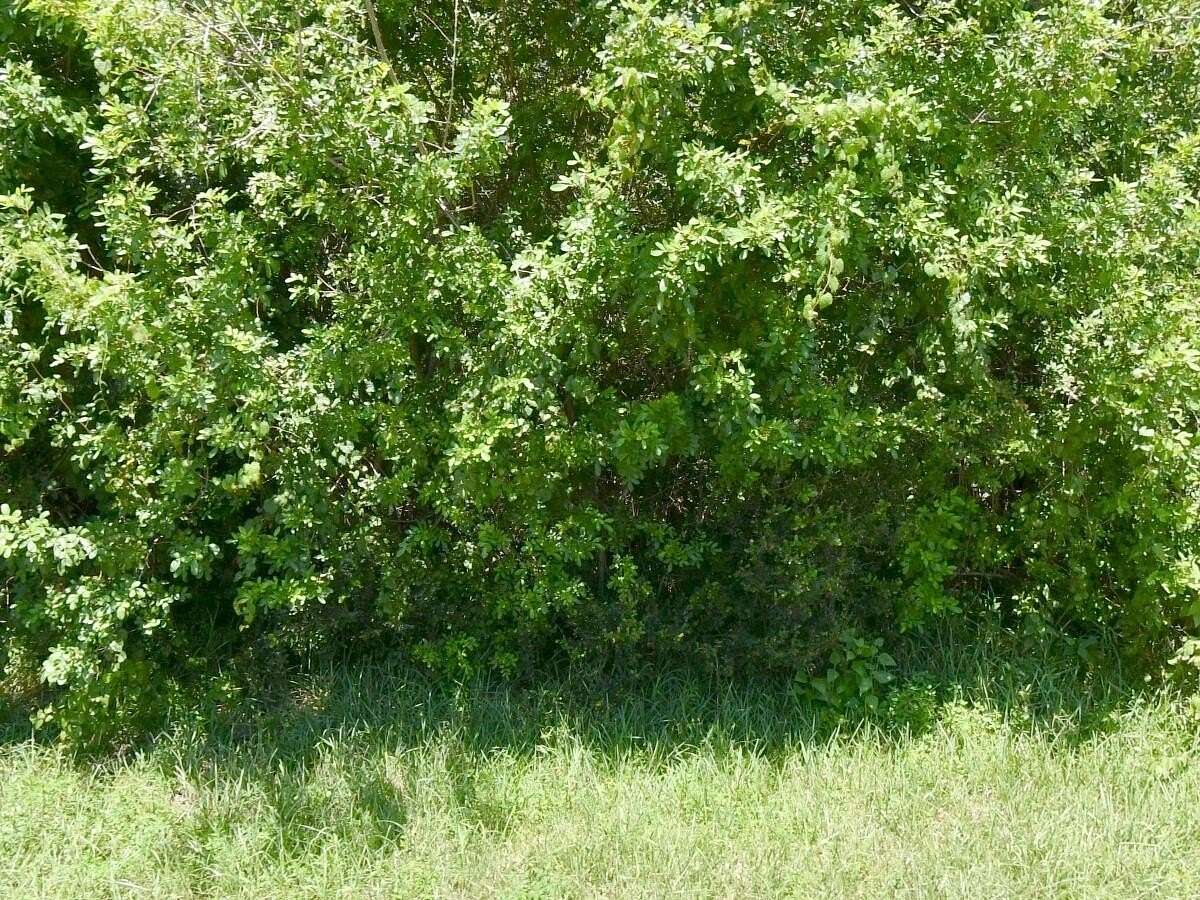 0.47 Acres of Residential Land for Sale in Port St. Lucie, Florida